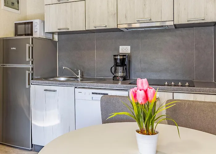 Mobile Luxury Premium-3 By Interhome Pula