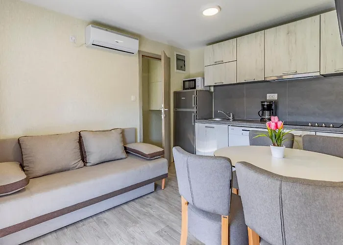 Mobile Luxury Premium-3 By Interhome * Pula
